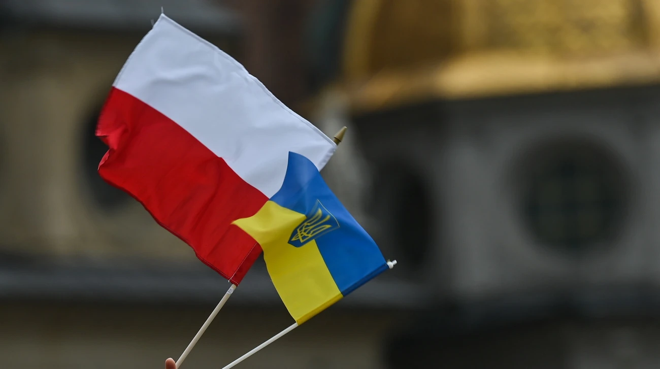 Опитування IBRiS у Польщі: від 43% до 98% підтримки депортації залежно від групи